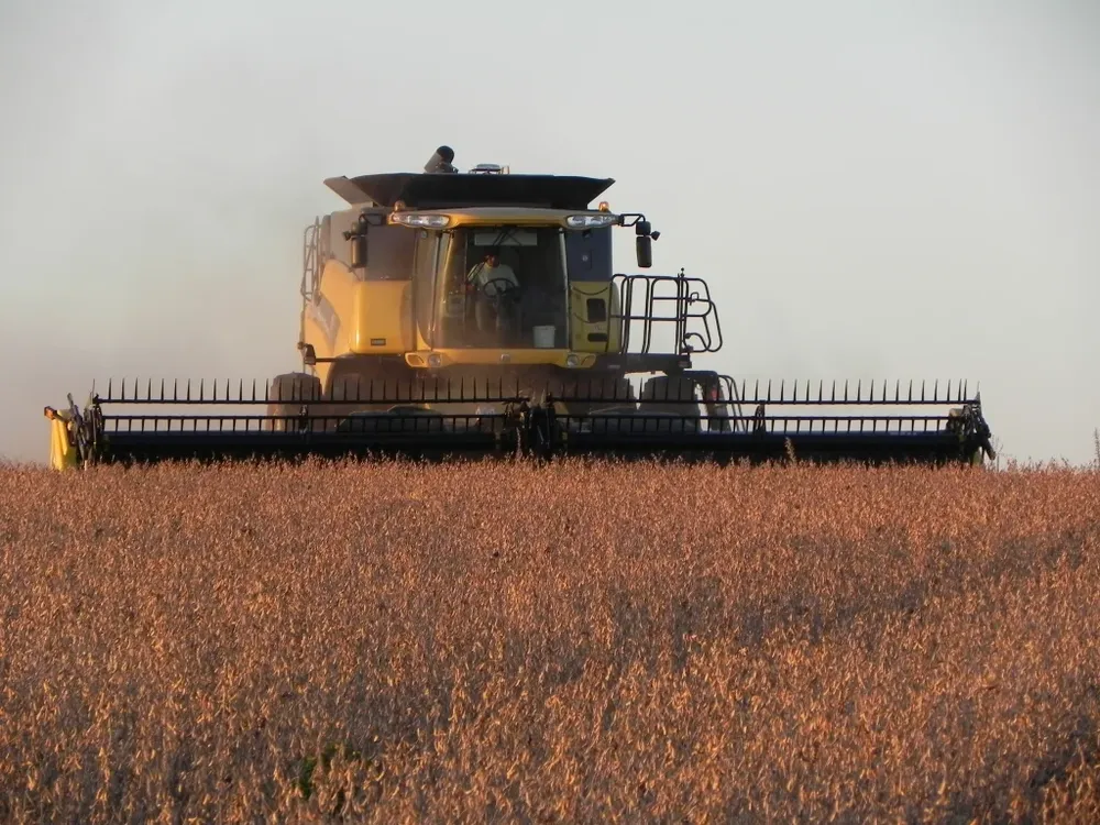 El USDA redujo su pronóstico sobre los stocks finales de soja para EEUU