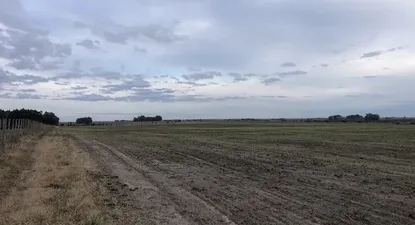 Campo en Río Negro va a remate judicial sin base