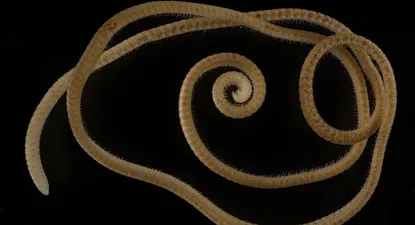 El Observador | 1639693286729.webp