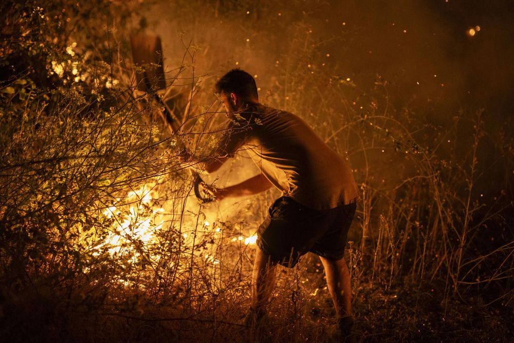 23c0f03857936a028086538ffa71ea1651ff0239w