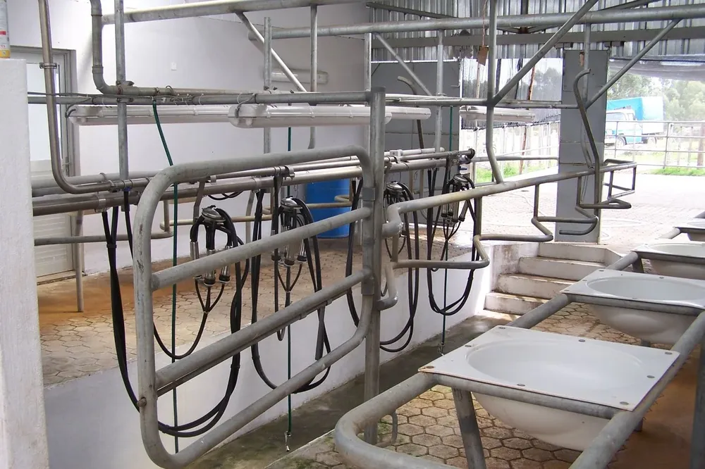 Sala-de-ordeñe.webp