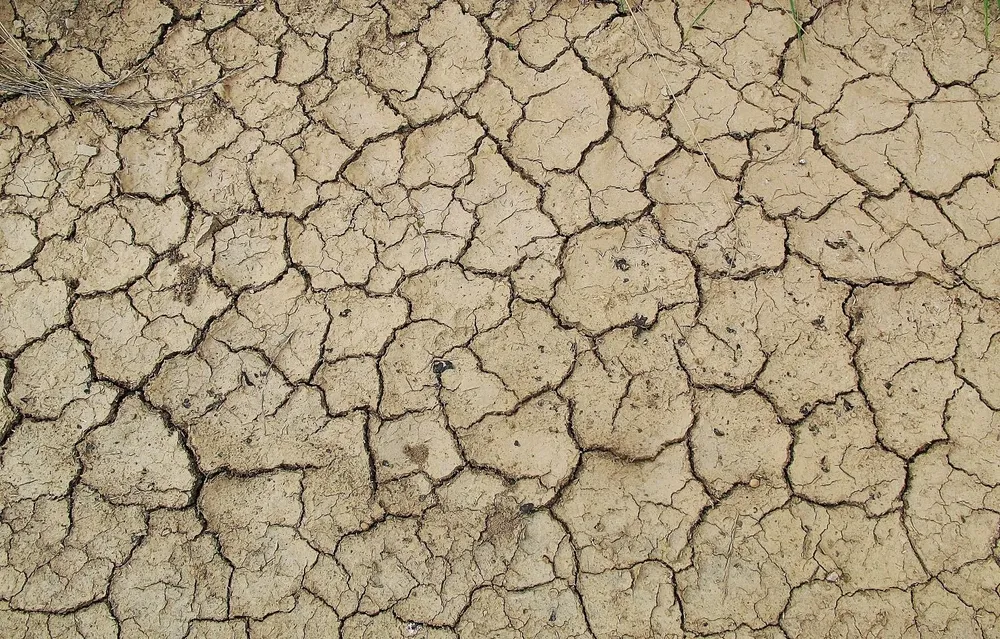 Sequías, un grave obstáculo productivo.
