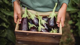 Lista Inteligente, con berenjenas en el conjunto de productos recomendados en estas dos semanas.