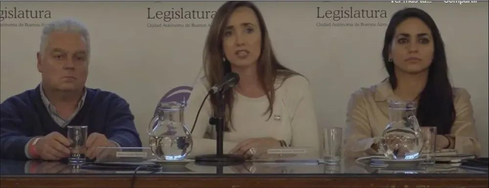 Villarruel en la Legislatura