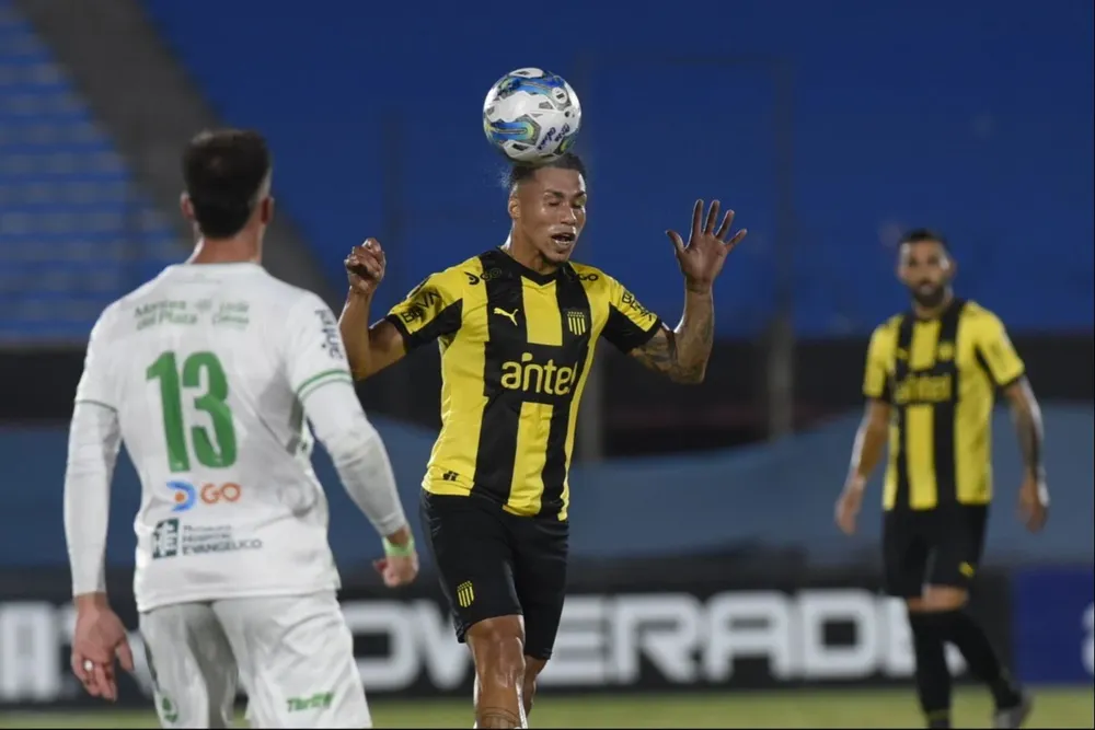 Saravia gana de arriba
