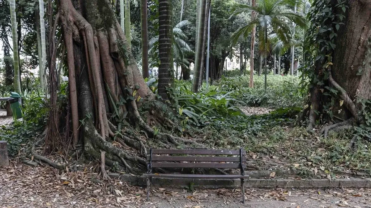 La vida secreta de las veteranas prostitutas que trabajan en un histórico  parque de Sao Paulo