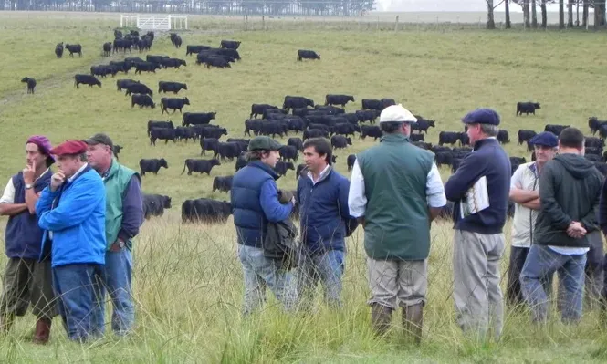 Una fortaleza de cada gira es la interacción entre productores
