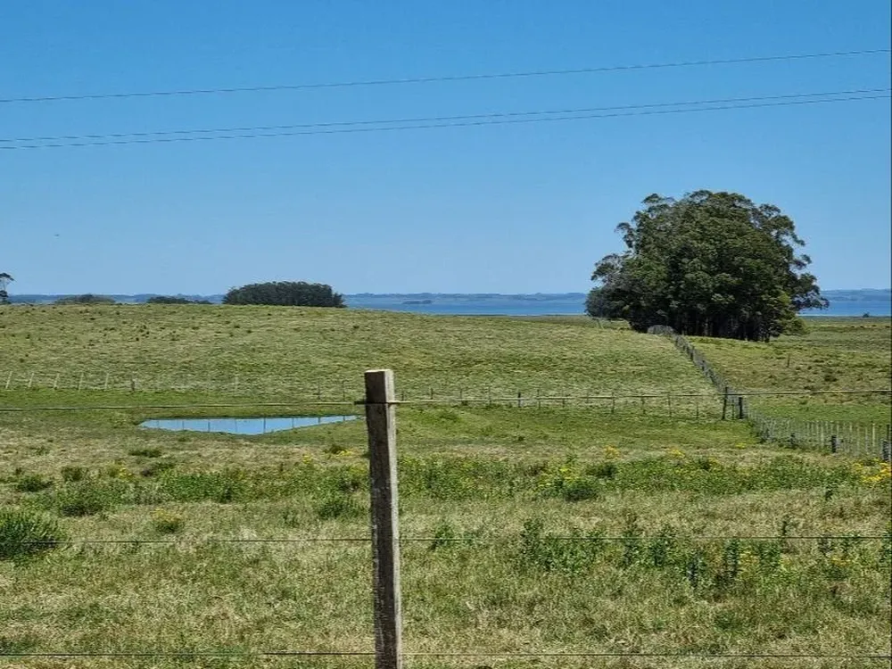 Carrau remata 100 hectáreas en Laguna de Rocha.