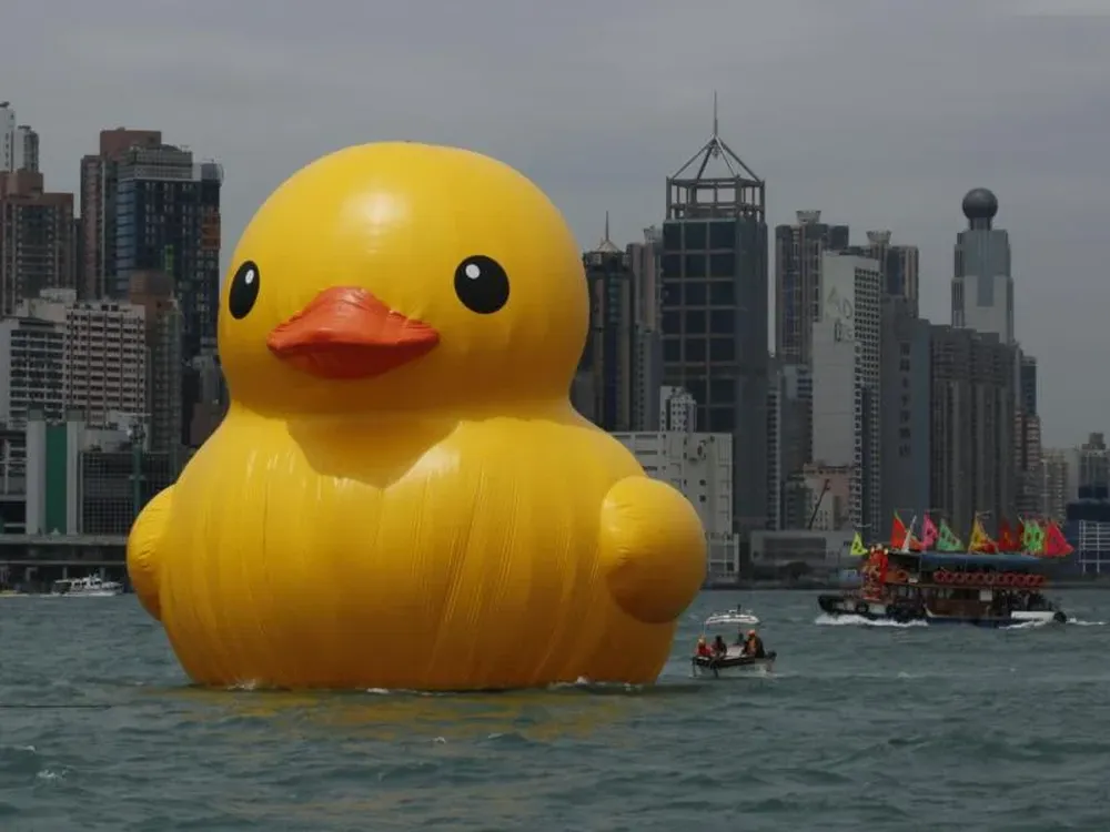Así lucía el pato inflable gigante