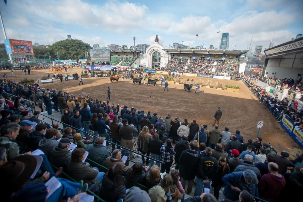 Argentina y una tradición, la exposición ganadera en Palermo, en Buenos Aires.