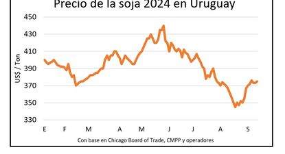 Mercado de granos.