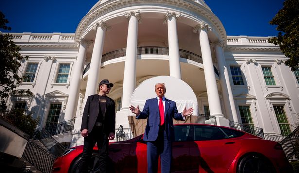 Musk pierde miles de millones por la caída de las acciones de Tesla y Trump le responde con un gesto inesperado