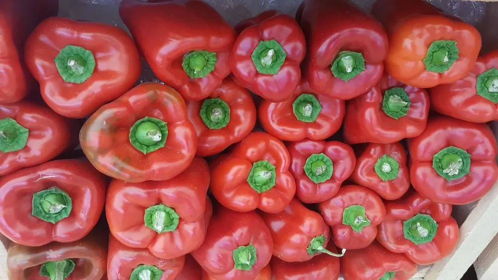 El precio del morrón está subiendo