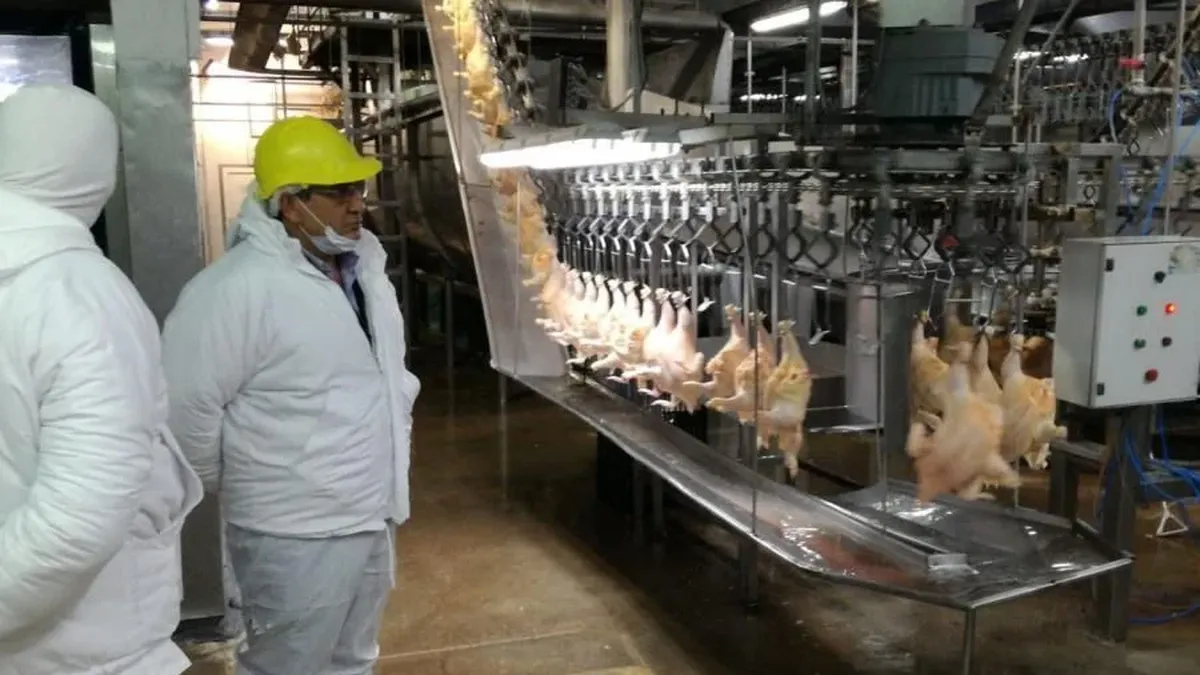 Apertura del mercado de Hong Kong para carne aviar y subproductos: en el sector avícola hablan de un hito