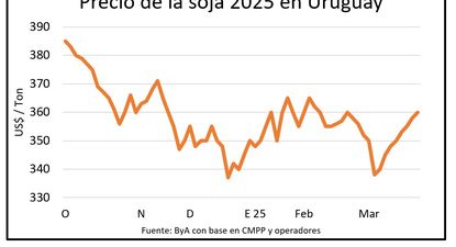 Soja, el cultivo más extendido en Uruguay.
