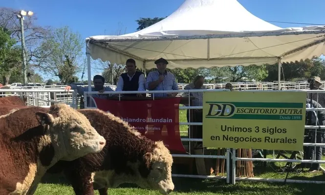 Ventas totales de La Palma de Iguarán