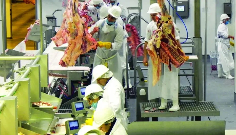 La producción uruguaya creció en 2014