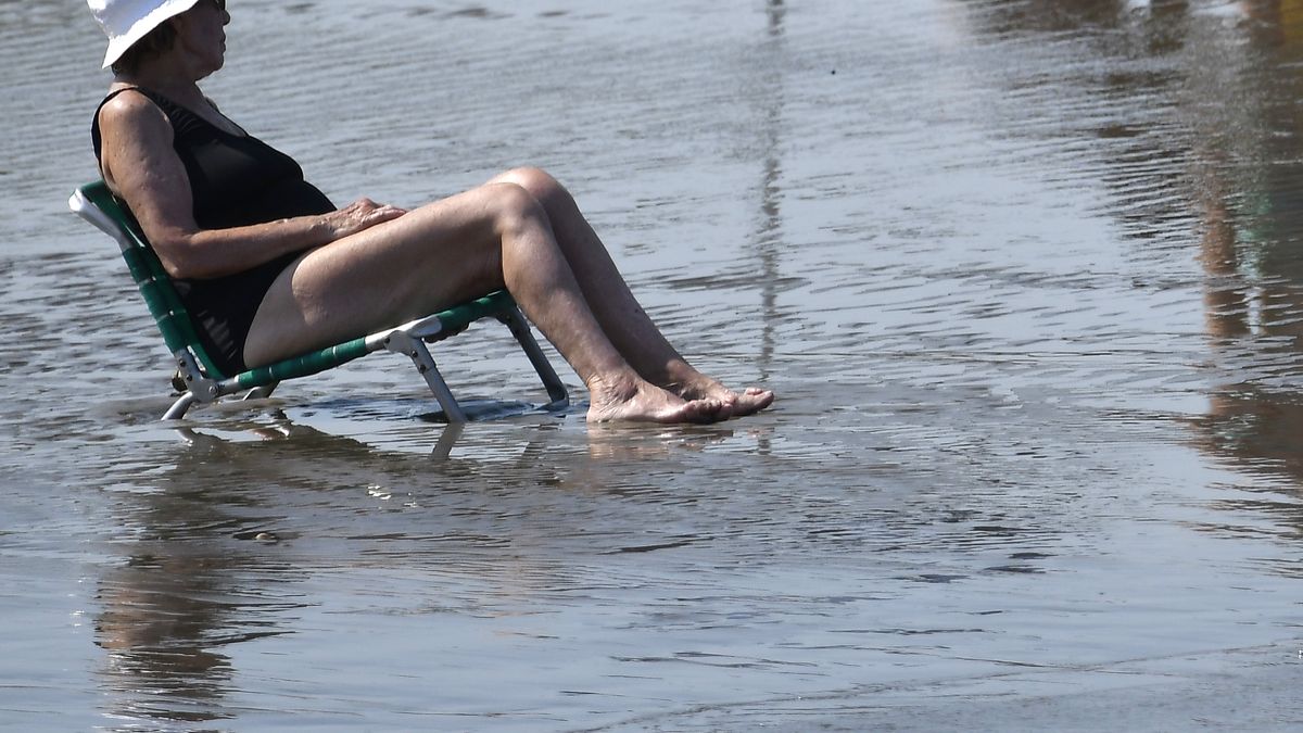 Imagen noticia completa