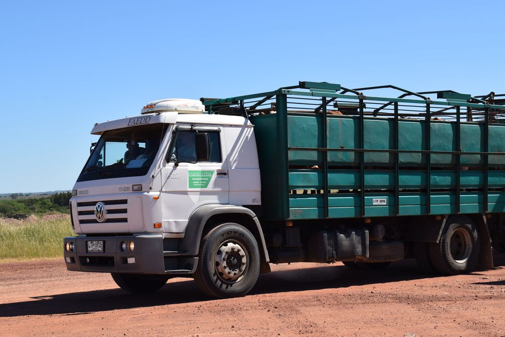 Agroindustria ganadera: transporte de haciendas.