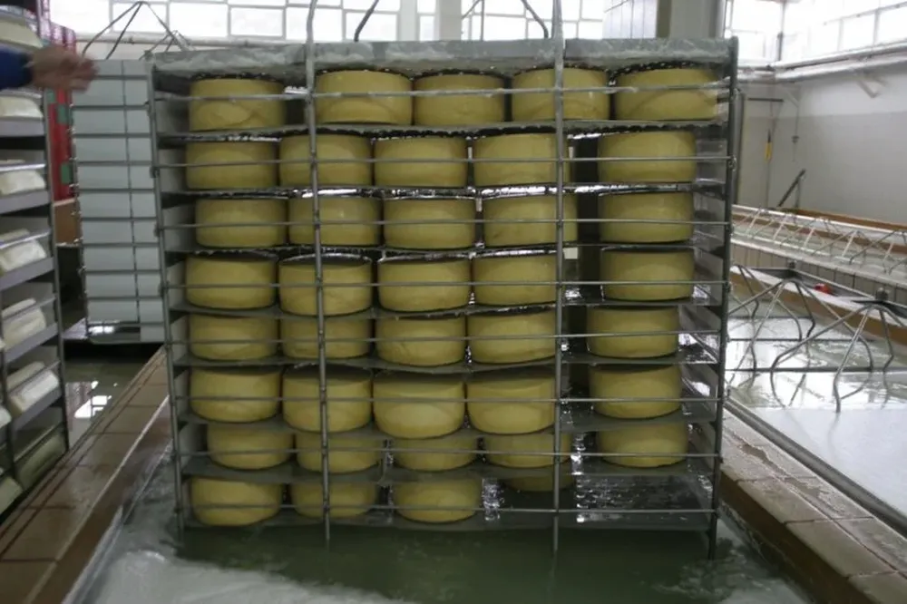 Se colocaron más quesos en enero, pero a un precio menor