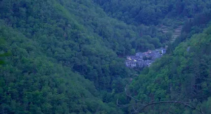 La proyección del documental Bosco, de Alicia Cano, es uno de los eventos destacados