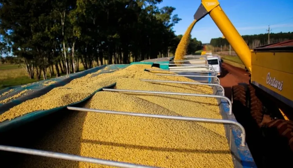 La agricultura tendrá que competir en un entorno de bajos precios