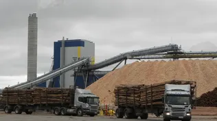 Un tercio de las exportaciones uruguayas pertenecen a las zonas francas