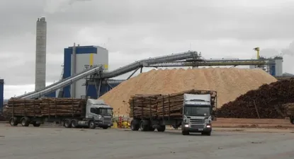 Gobierno y UPM definen área de planta; inversión sigue a estudio