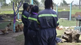 Mujeres privadas de libertad. (Archivo)