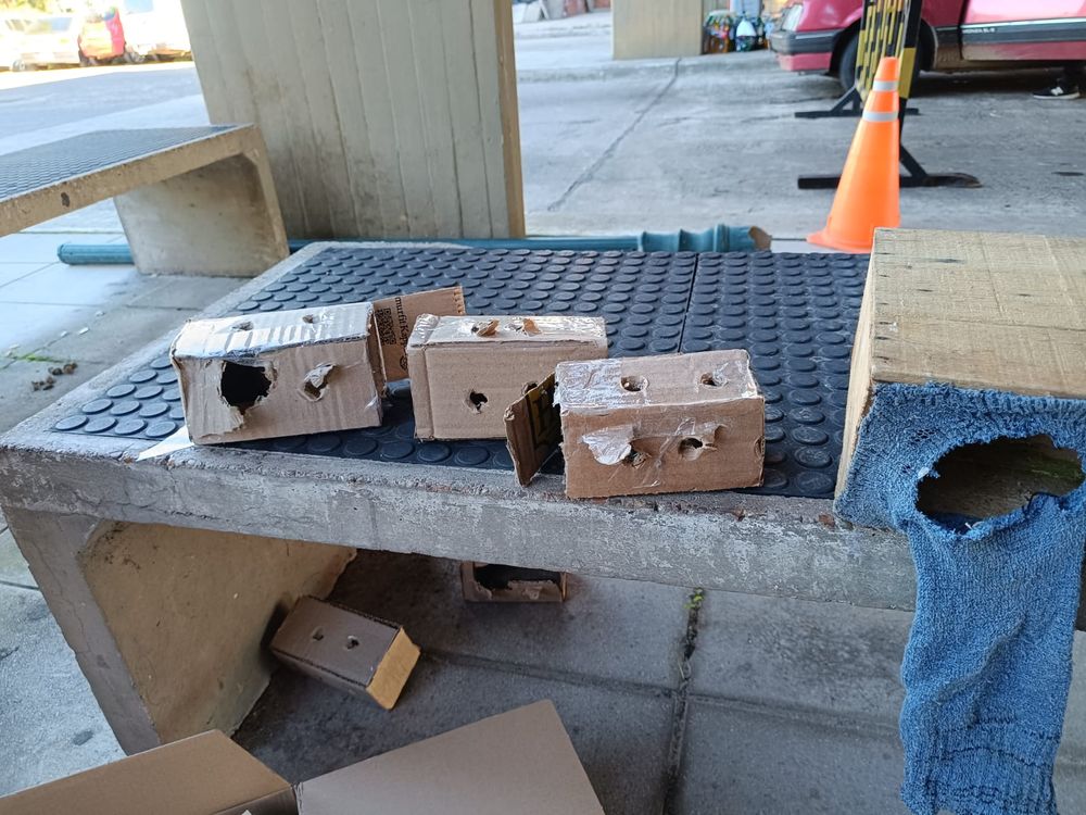 Los animales muchas veces viajan en malas condiciones. Foto: prensa INBA.&nbsp;