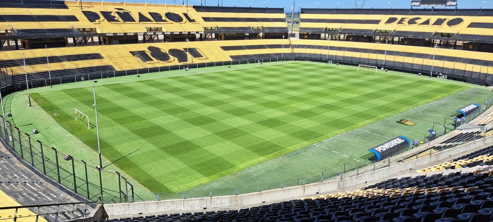 El estado del césped del Estadio Campeón del Siglo luce impecable