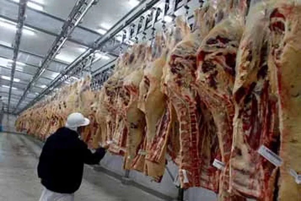 Agroindustria de la carne.