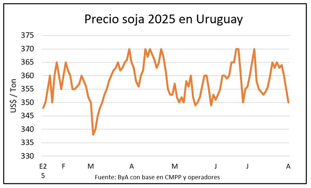 Granos: la soja con valores locales que no respaldan el esfuerzo del agricultor.