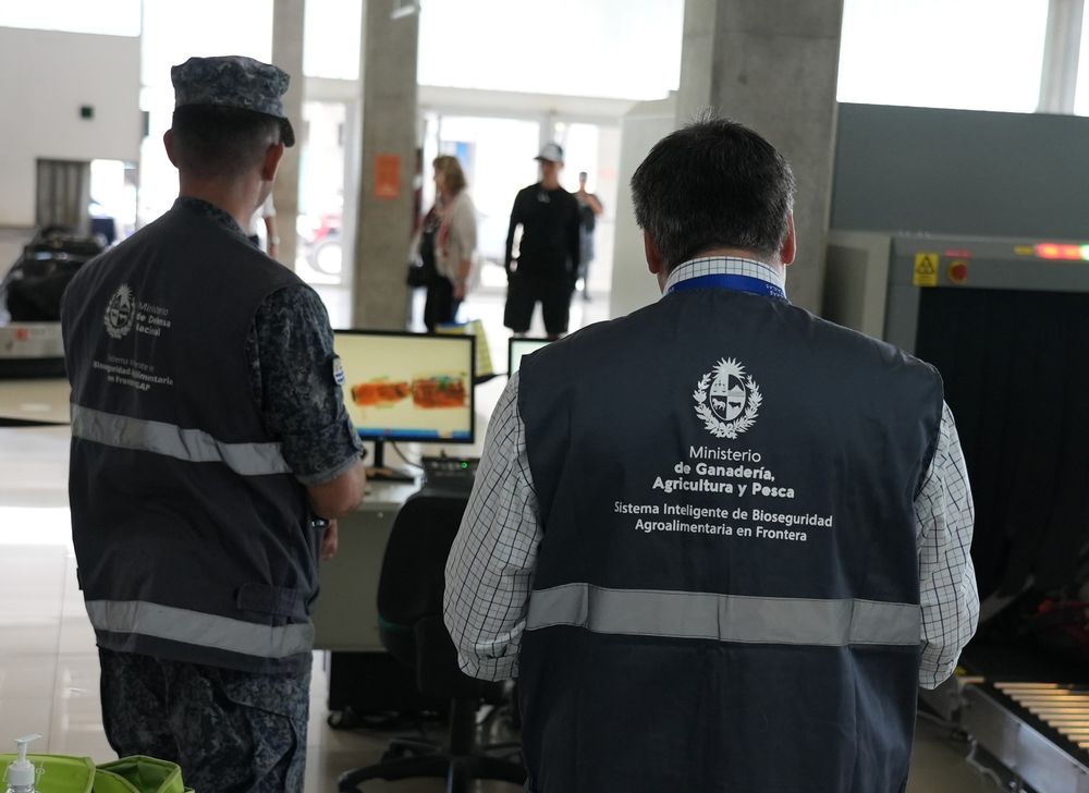 Uruguayos, al volver al país, deben tener en cuenta qué se puede traer y qué no.