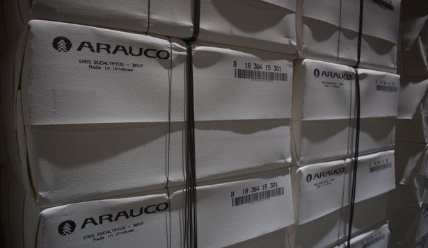 Celulosa: se afianza en lo más alto del conjunto de bienes exportadores desde Uruguay, con US$ 1.888 millones en lo que va de 2024.