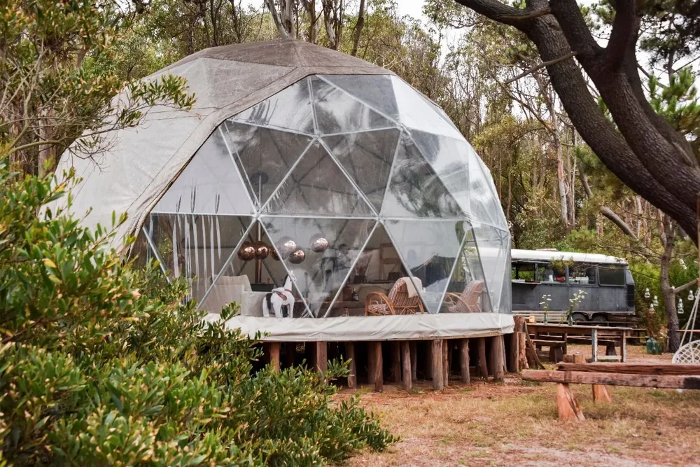 Big Bang Nature Stays