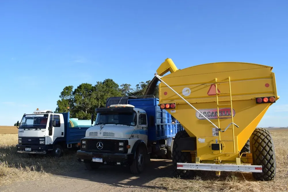 Más rinde de lo esperado, área récord y adelanto de las trillas presionan a la logística.