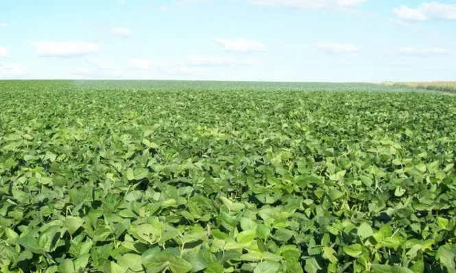 Firman convenio sobre uso responsable de biotecnologías en la agricultura