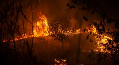 Fuego descontrolado en España.
