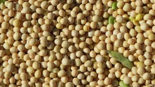 Precios de commodities relevantes agravaron caída en tercer trimestre