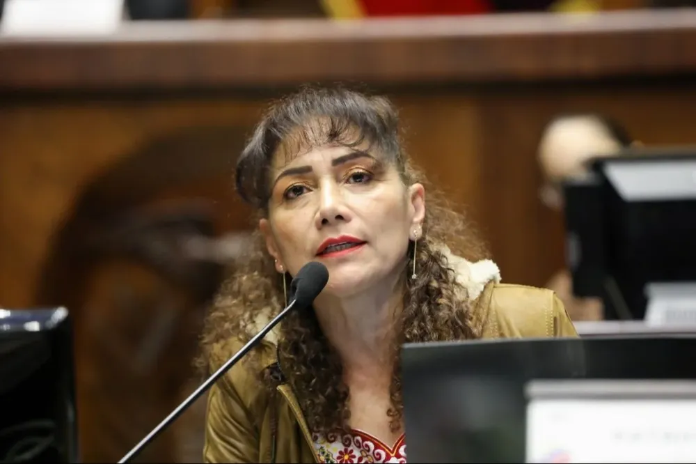 Nuestra posición siempre ha sido la de respetar nuestra soberanía, de resolver nuestros problemas. Las injerencias extranjeras siempre preocupan porque nos quitan autonomía, señaló Núñez.