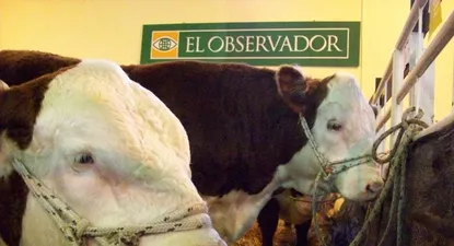 El Observador | 0012001955.webp