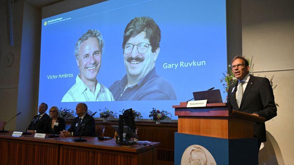 Los ganadores compartirán un premio de cerca de US$1 millón.