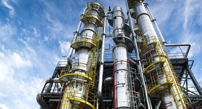 ALUR logró varios récords en 2025 en su planta industrial en Paysandú.