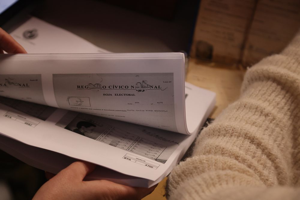 Elecciones internas 2024