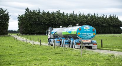 Productos lácteos con mejores precios en el escenario internacional, buena noticia para un país básicamente exportador.