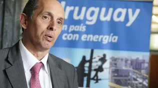 UTE tiene la cancha libre para exportar a gran escala a Brasil