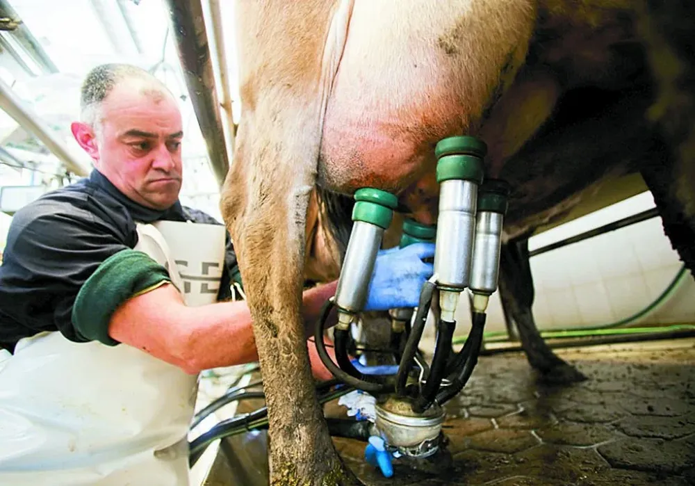La leche rinde menos al tambero