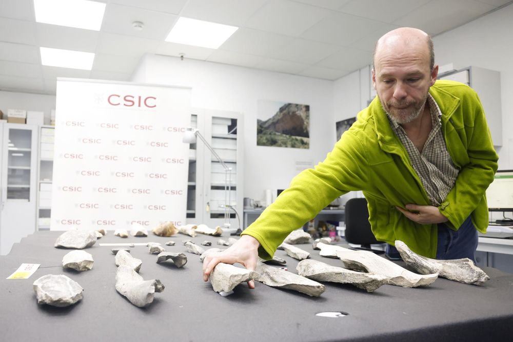 El investigador del Instituto de Historia del CSIC Ignacio de la Torre presenta el hallazgo, realizado en un yacimiento de la Garganta de Olduvai, en Tanzania. EFE