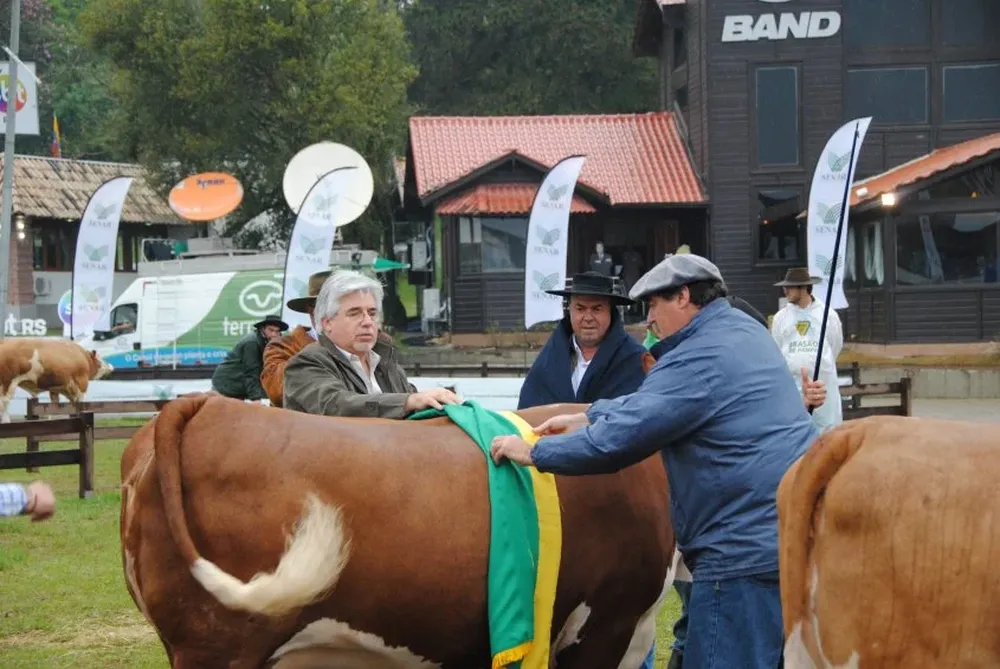 Tabaré Aguerre y Alejandro Costa le colocaron la banda al Gran Campeón Polled Hereford.
